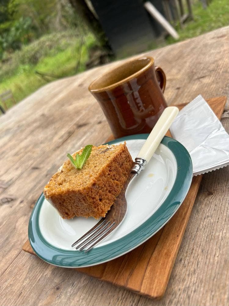 豆小屋