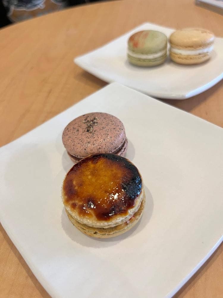 Maccalooseよこすか