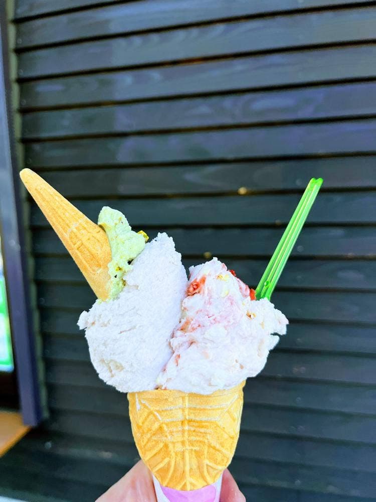 小田原牧場アイス工房 朝ドレファ～ミ成田店