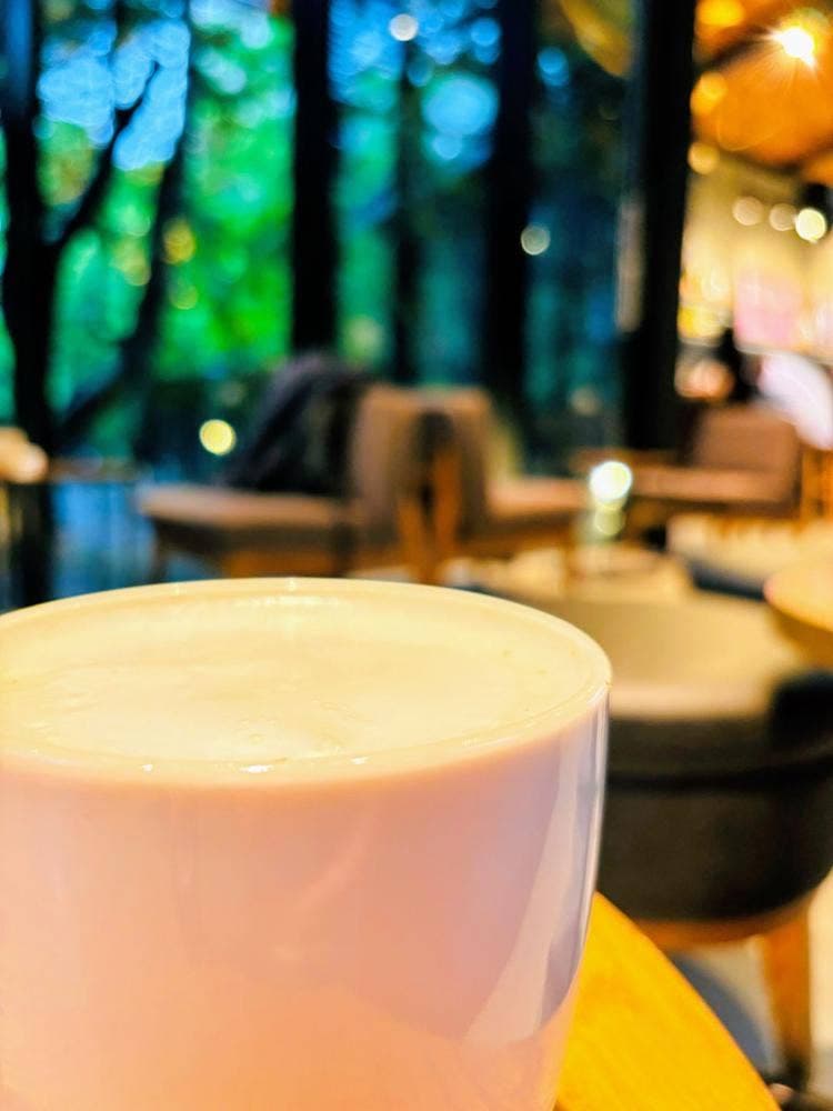 スターバックス コーヒー 浜松城公園店