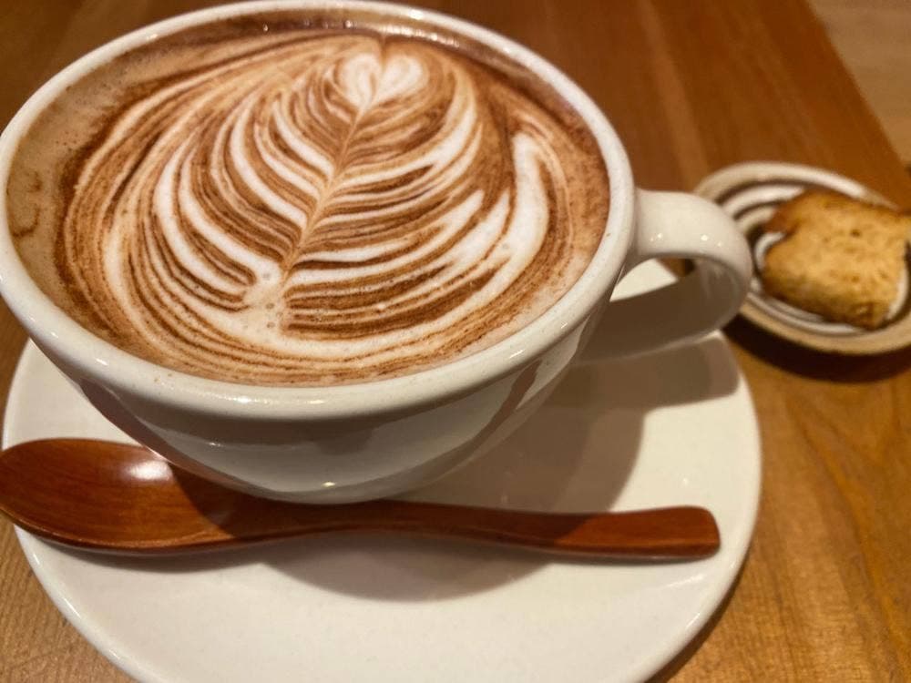 ocio Healingspace & Cafe