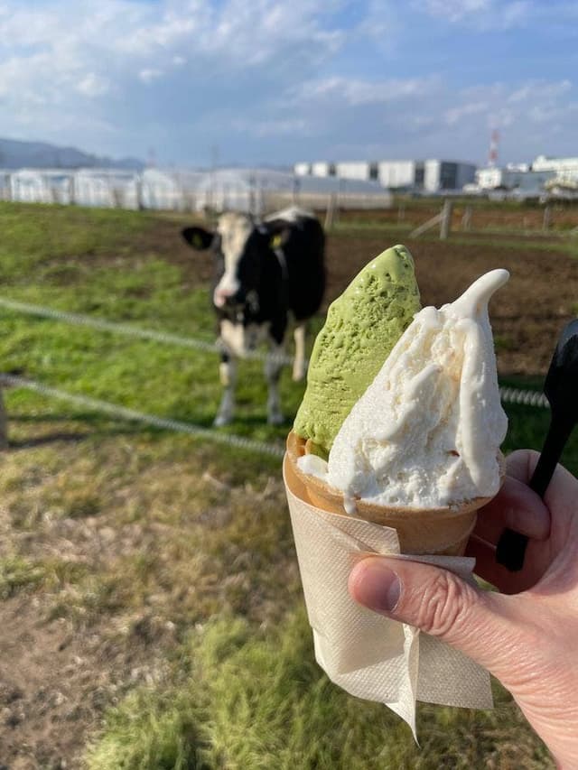 石田牧場のジェラート屋 めぐり - サブ画像1