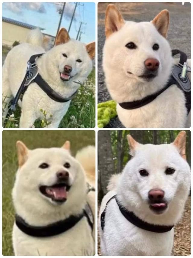 甘静舎 - サブ画像2