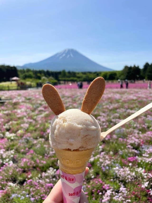 ピーターラビットカフェ 富士本栖リゾート - サブ画像3