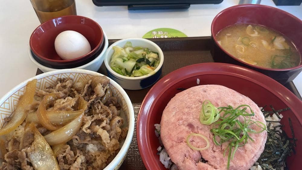 すき家 19号土岐店