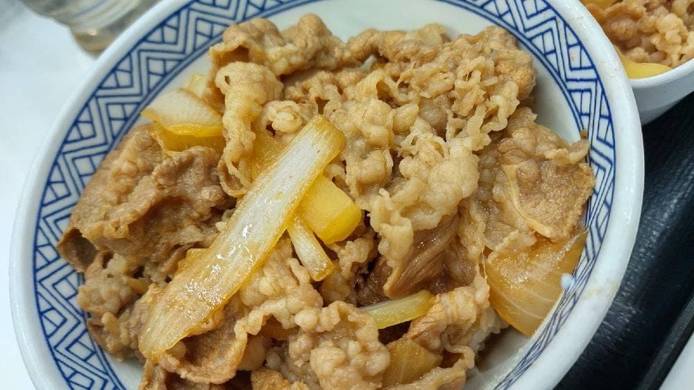 吉野家 札幌狸小路店