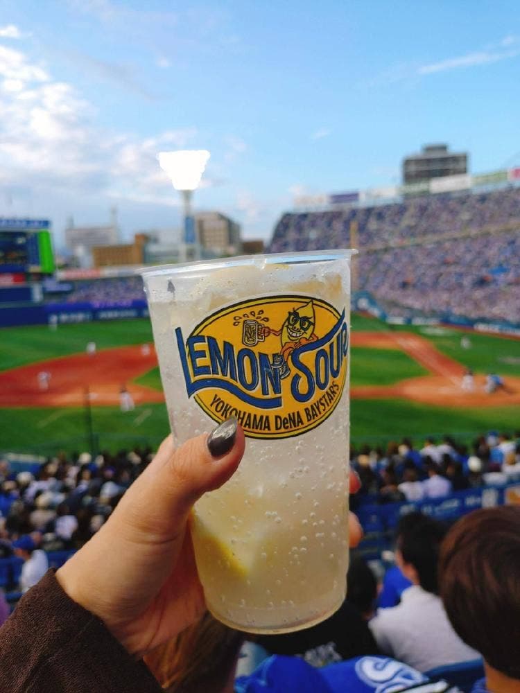 BAYSTARS DOG 横浜スタジアム