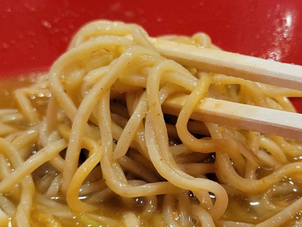 自家製麺TERRA