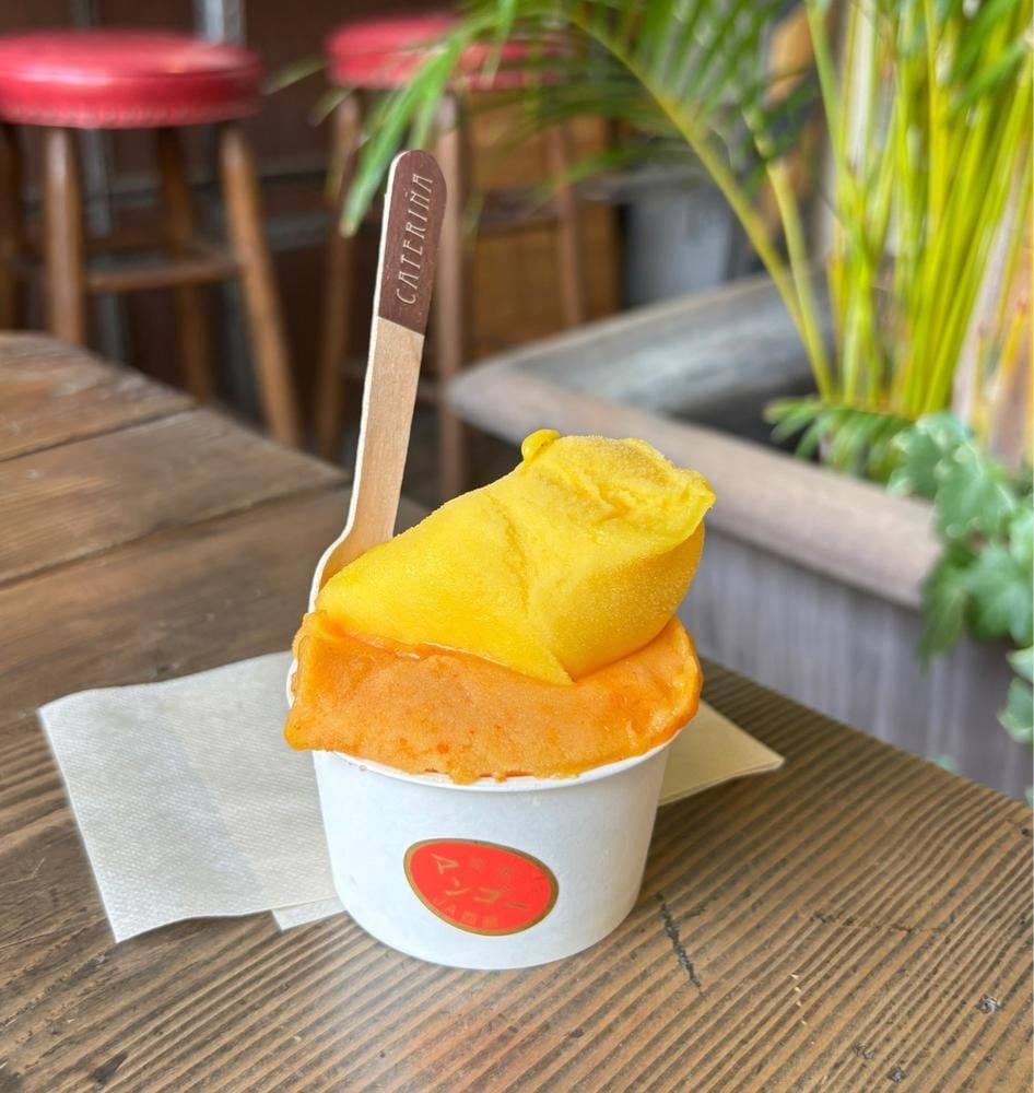 カテリーナ 神戸