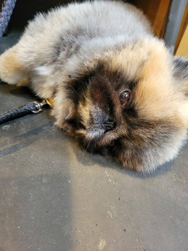 BurgHack - サブ画像3