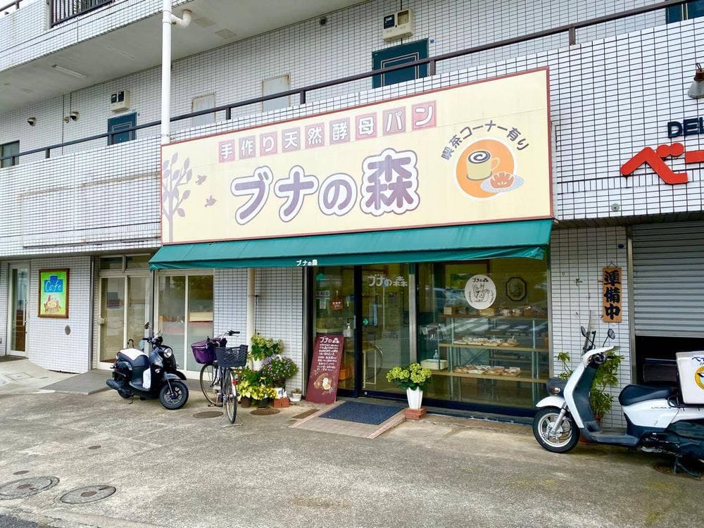 ブナの森