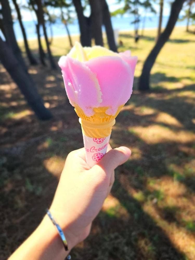 秋田まるごと市場 ババヘラアイス