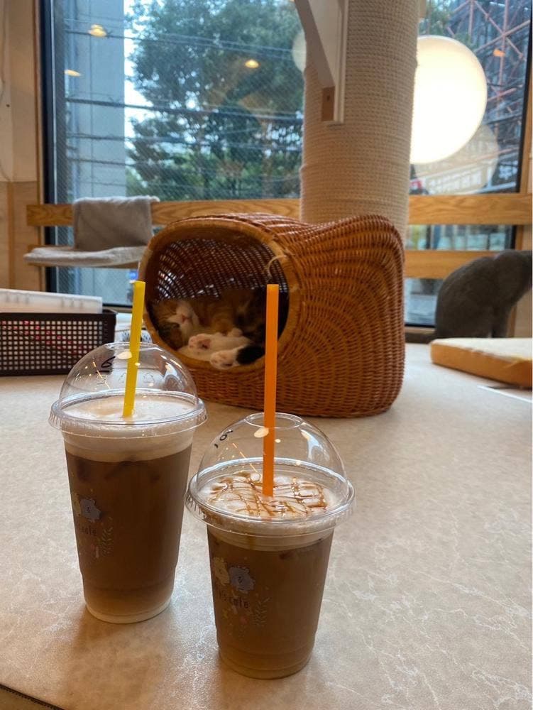 Fluff’s cafe
