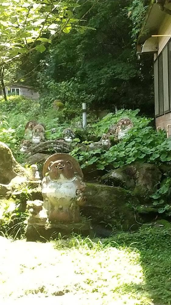 たぬき湯 食堂 - サブ画像1