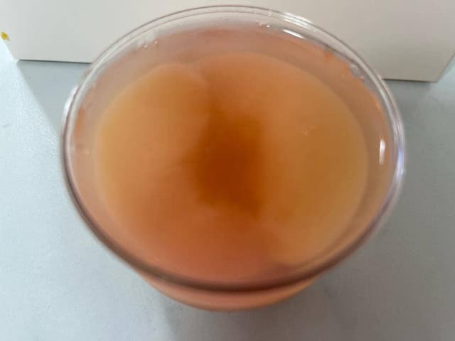 makostandard - サブ画像3