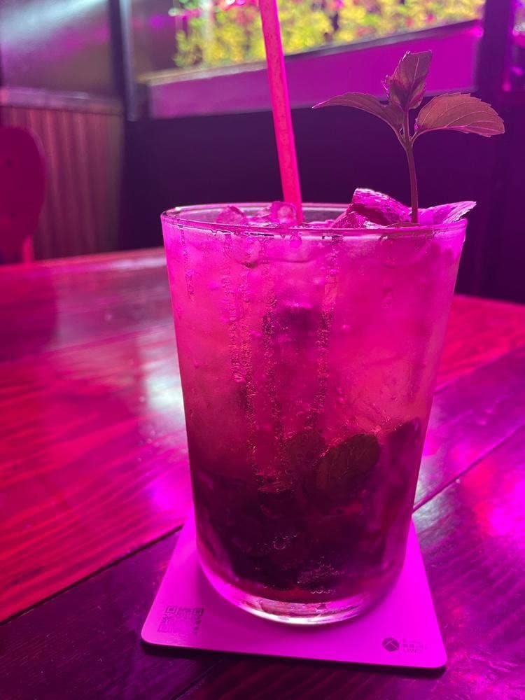 MINT BAR HACCA