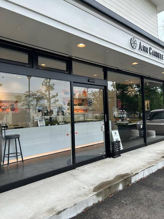 ANN CANNELE - サブ画像1