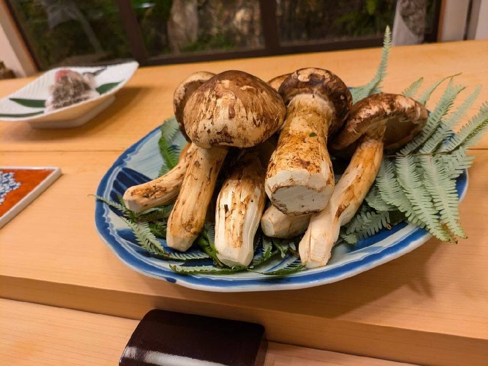 さえ㐂