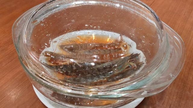 海皇 OSAKA 堂島店 - サブ画像1