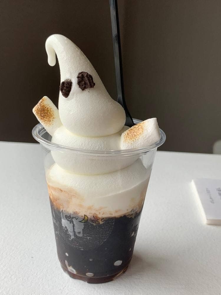 Moon ice