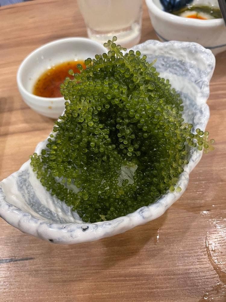 鳥良商店 川越店