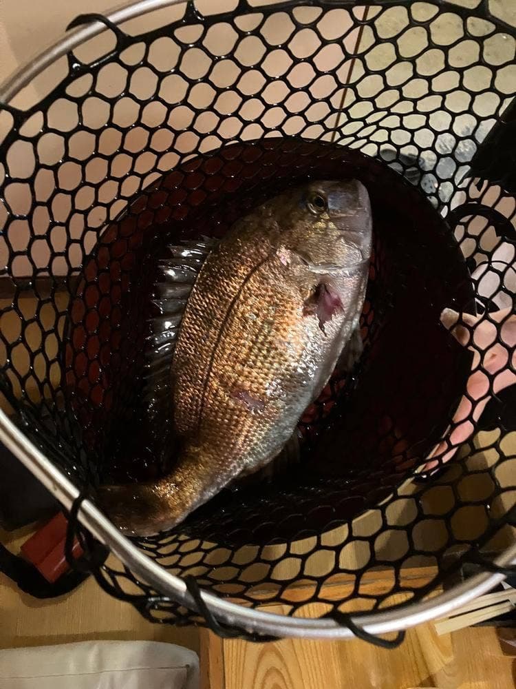 釣船茶屋 ざうお 小牧店
