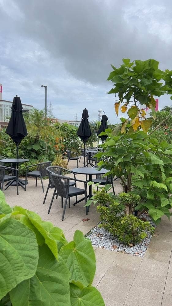 スターバックス コーヒー イオン名護店 - サブ画像1