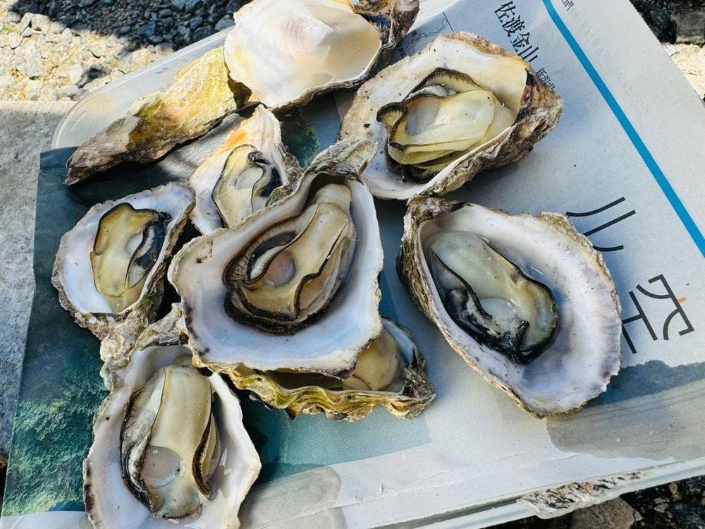 かき小屋 龍明丸