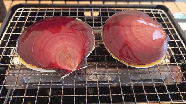 浜焼きBBQ ツキヒテラス - サブ画像1