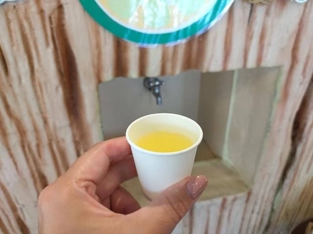 大宜味シークヮーサーパーク - サブ画像2