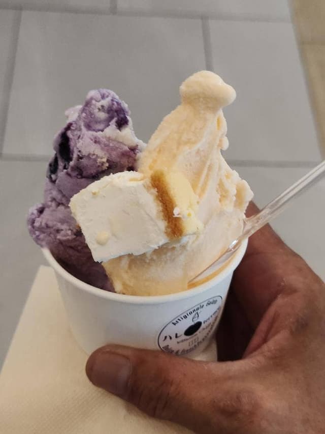 Premium Gelato ハレTerrace 豊洲店 - サブ画像2