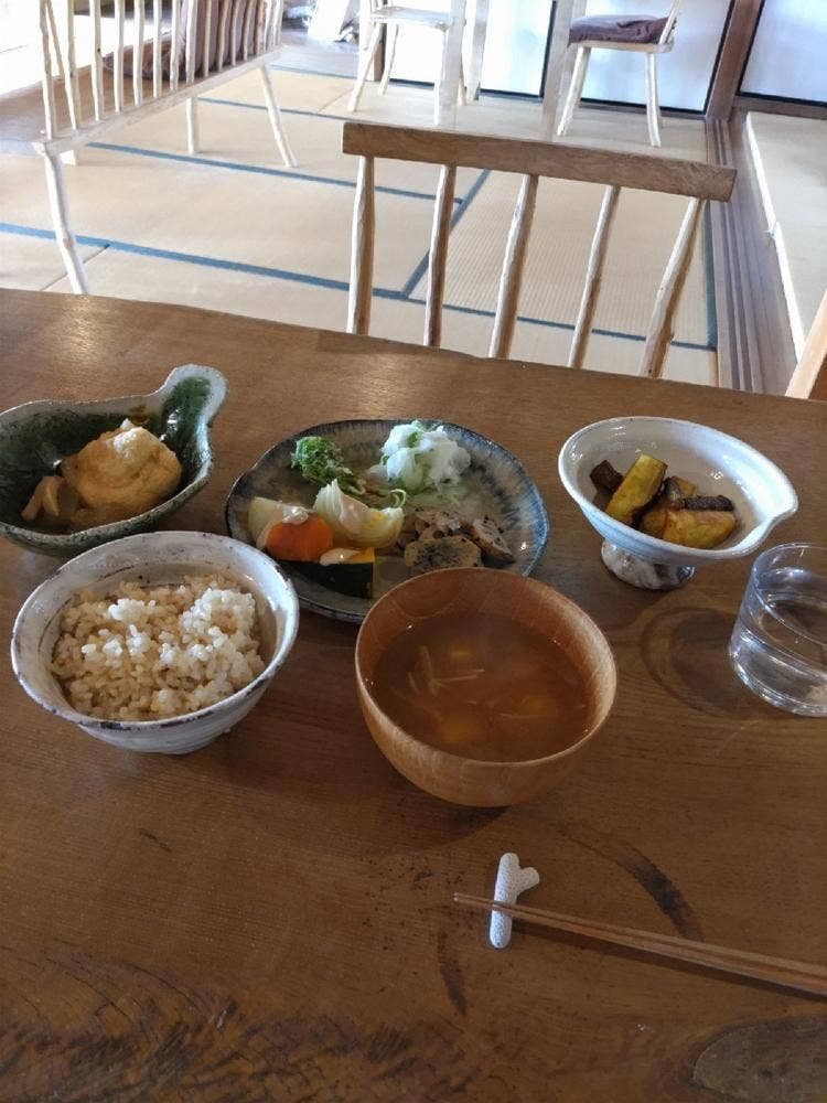植物と人 棘