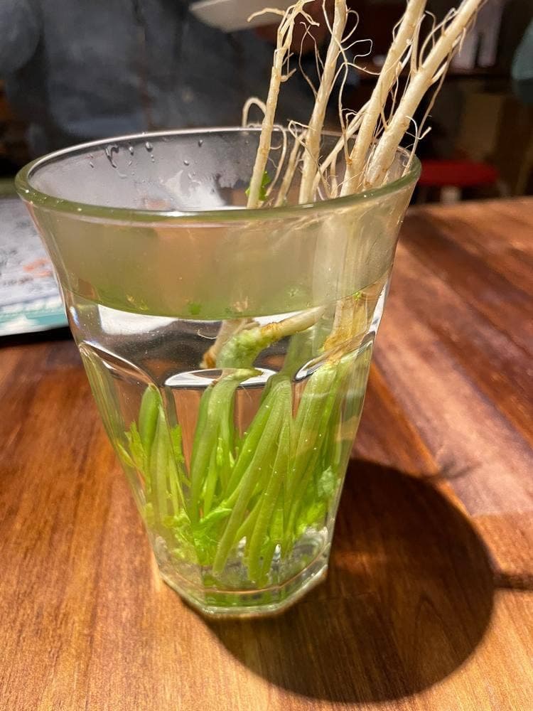 つどい処 さま吉
