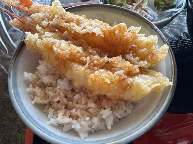 内子町役場 五十崎凧博物館山茶花 - サブ画像2