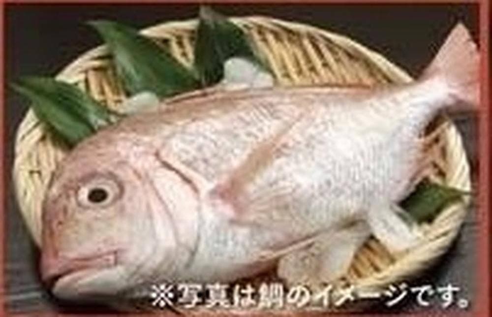 創作ダイニング 和-KAZU-