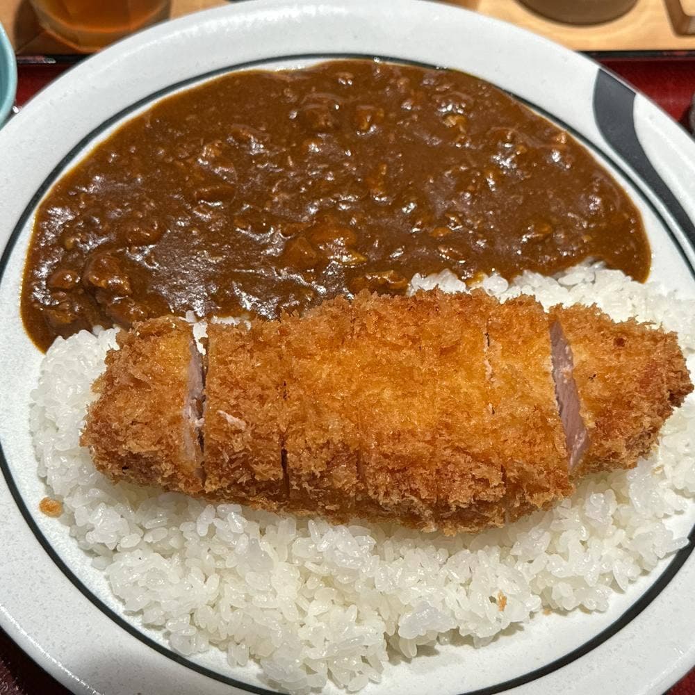 とんかつ はせ川 東銀座店