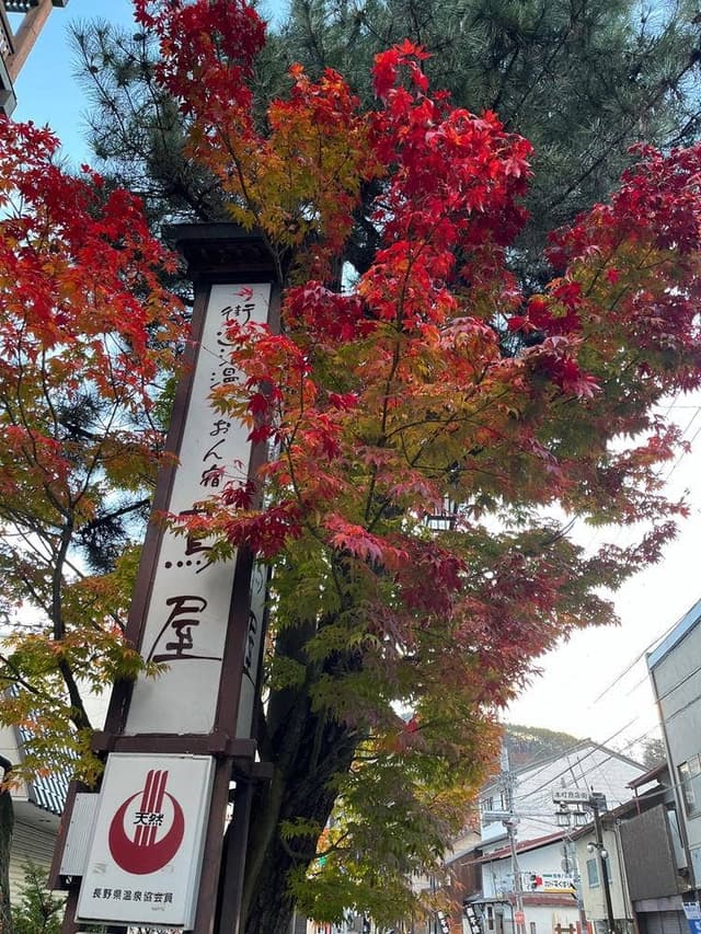 街道浪漫 おん宿 蔦屋 - サブ画像2