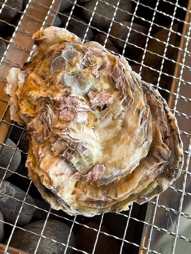 カキテラス波音 - サブ画像2