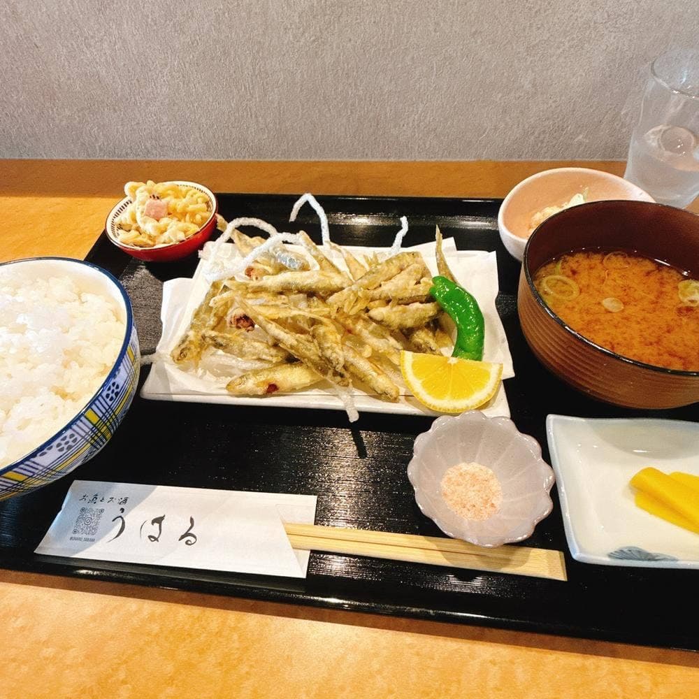 お魚とお酒 うはる