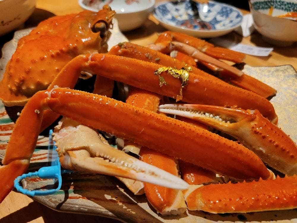 活きな魚 地酒 座吟