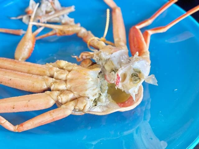 越前かに専門店 お食事処 小鉄 - サブ画像3