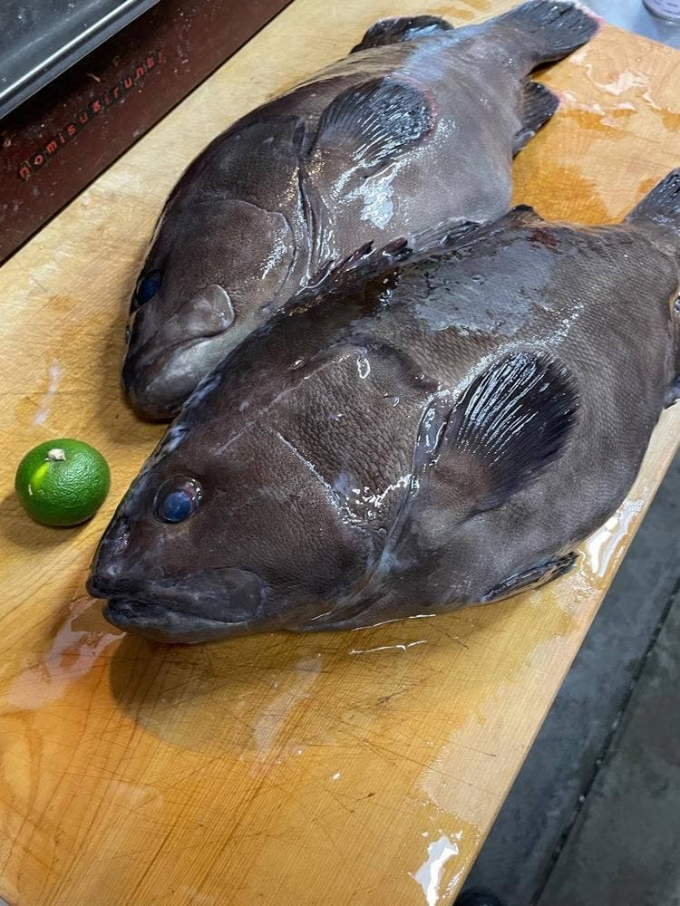 魚魚丸あさの