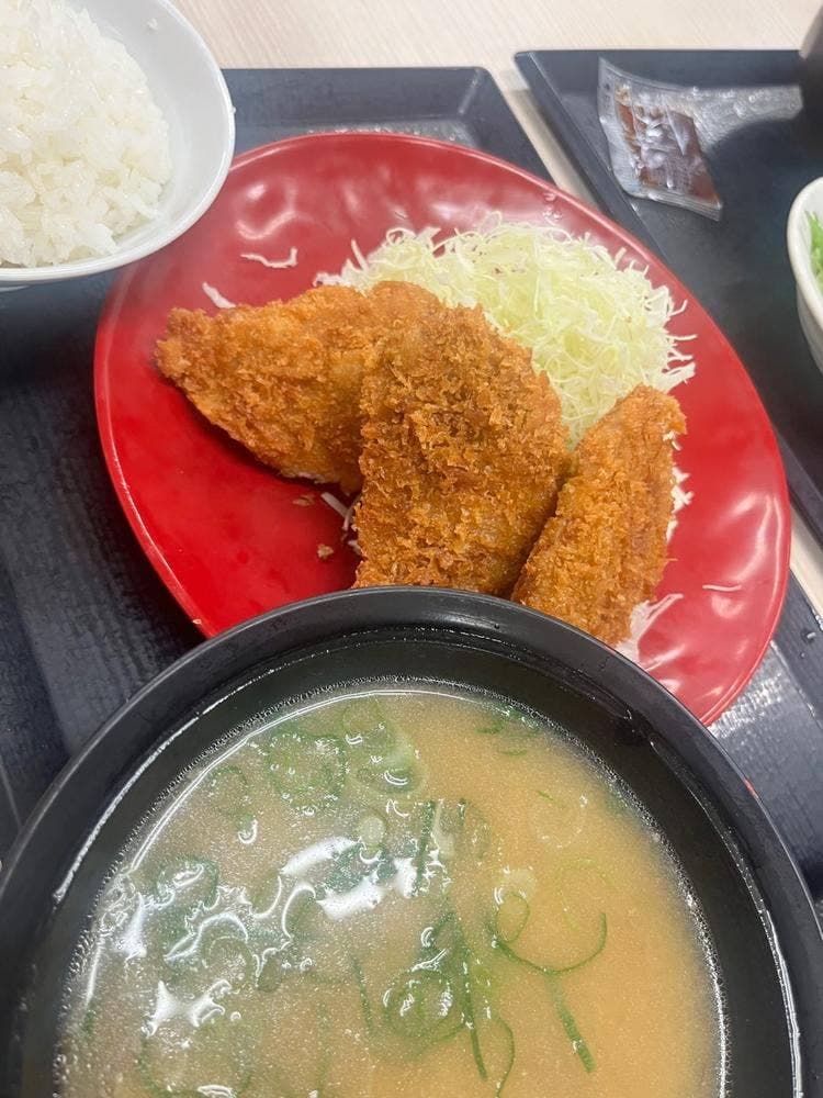 かつや 横須賀佐原インター店