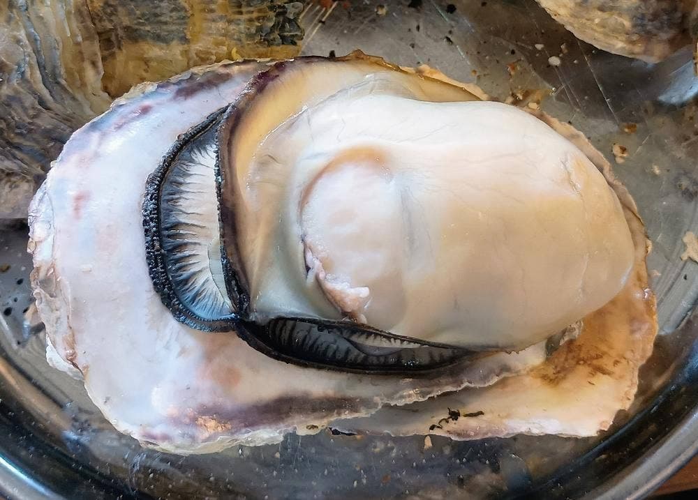 小長井町漁協直売所