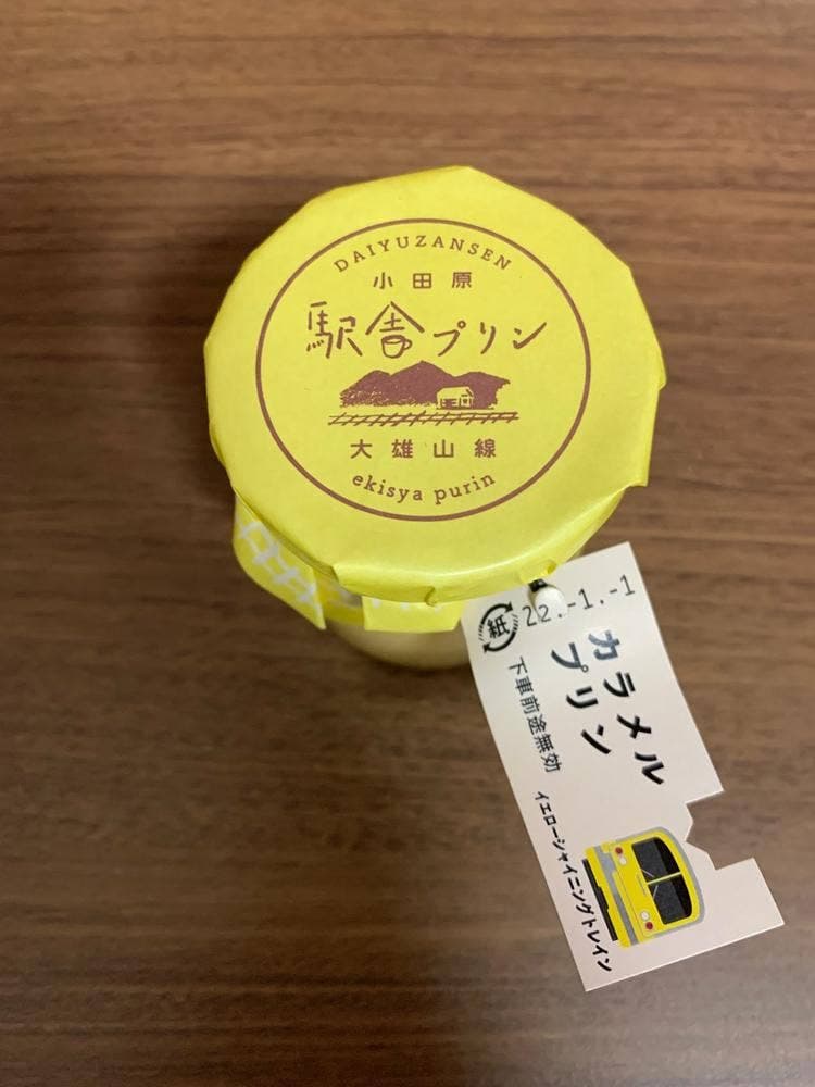 小田原大雄山線駅舎プリン