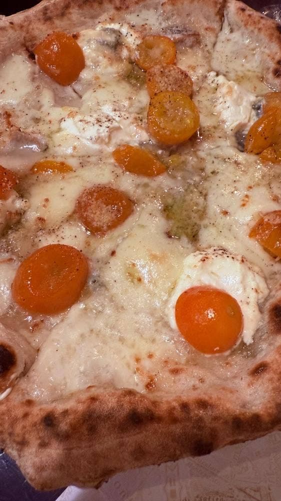 ピッツェリア ナポレターナ ドンチッチョ