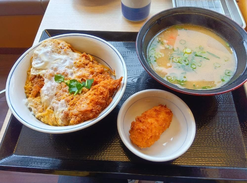 かつや 福岡野多目店