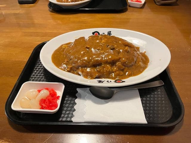 日乃屋カレー 松江浜乃木店 - サブ画像2