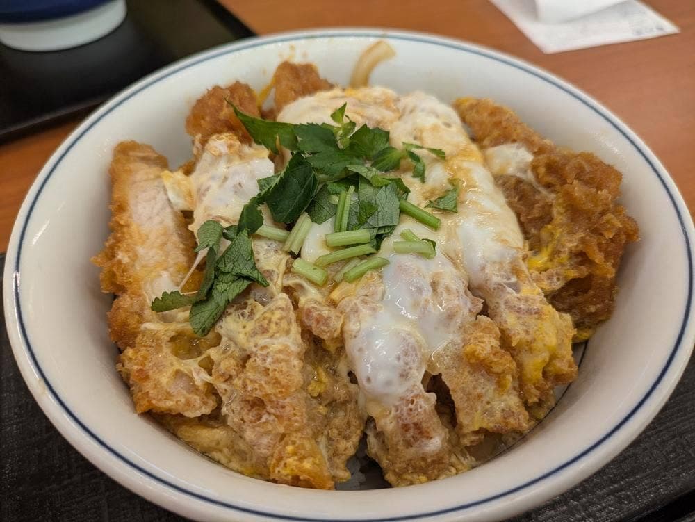 かつや 長野飯田店