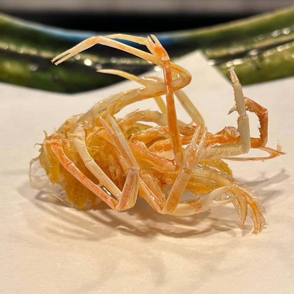 天麩羅いちかわ